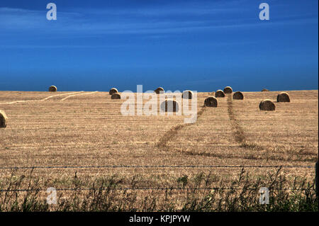 July 24, 2011; South of Calgary, Alberta, Canada. Harvested Field with Blue Skies Stock Photo