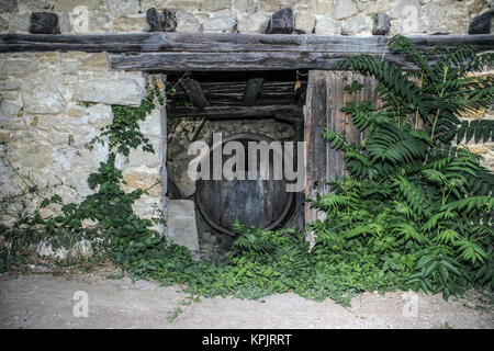 Countryside, East Serbia - Entrance to an abandoned and decaying winery Stock Photo