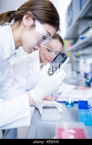 Laboratory assistants using pipette with digital display. Stock Photo
