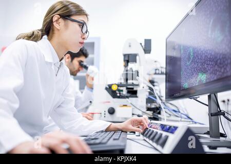 Female scientist using computer. Stock Photo