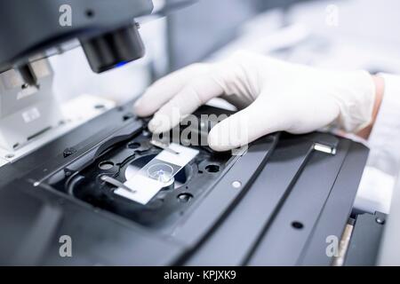 Scientist wearing latex glove adjusting microscope slide. Stock Photo