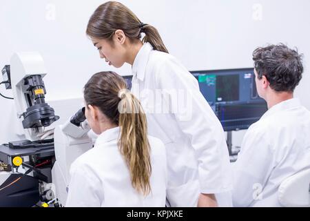 Three scientists working in laboratory. Stock Photo