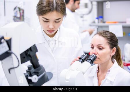Female scientists working in laboratory. Stock Photo