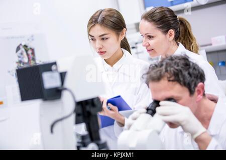 Scientists working in laboratory. Stock Photo