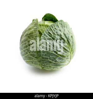 Cabbage against a white background. Stock Photo
