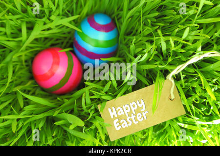 Easter eggs on green grass with tag and copy-space Stock Photo