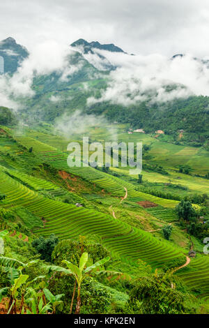 Clouds parting over the rice paddy terraces in Sa Pa Stock Photo