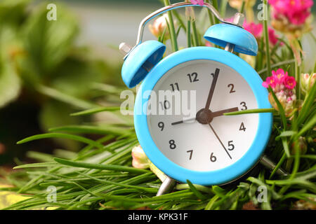 Classic alarm clock with pink flowers and grass Stock Photo