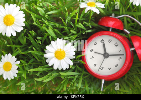 Red clock on green grass with flowers background Stock Photo