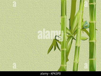 bamboo and drop of water on abstract background Stock Vector