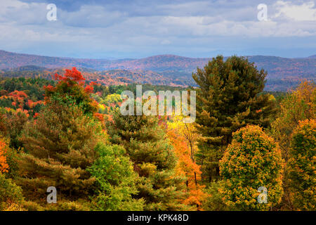 View of rolling hills with vibrant autumn coloured foliage under cloudy sky, White Mountains National Forest; New England, United States of America Stock Photo