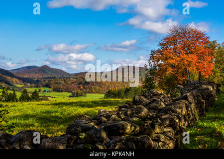 Landscape of autumn coloured forests on the hills and a stone wall across a field in the foreground; Iron Hill, Quebec, Canada Stock Photo