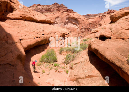 Man crossing a desert canyon with team in distant background walking a trail around sandstone cliffs; Hanksville, Utah, United States of America Stock Photo