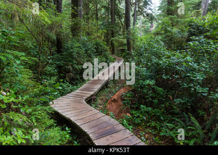 A wooden boardwalk leading through a rainforest in Pacific Rim National Park, Schooner Cove Trail, Vancouver Island; British Columbia, Canada Stock Photo