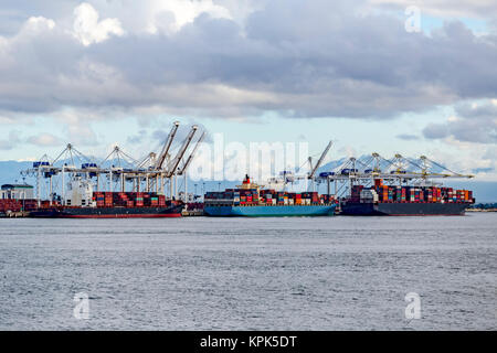 Container ships in the dock at the Delta Port outside of Vancouver; Vancouver, British Columbia, Canada Stock Photo