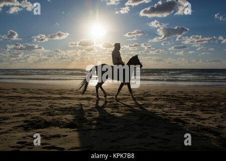 Silhouette of a man riding his horse on the beach Stock Photo - Alamy