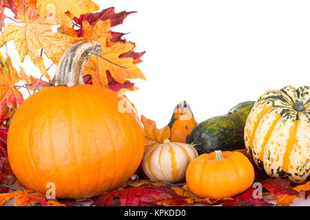Pumpkins and gourds with autumn leaves on a white background Stock Photo