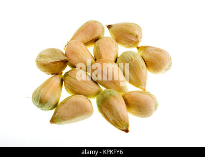 Detail of multiple bunya pine seeds Stock Photo