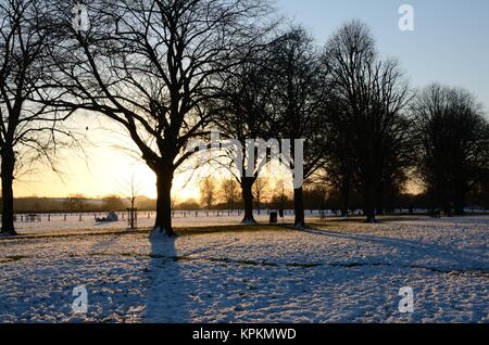 Trees silhouetted against setting sun in wintry landscape Stock Photo