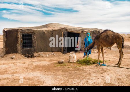 Sahara, Morocco - May 10, 2017: Berber man dressed in traditional moroccan gandoura and touareg watches his camel eat alfalfa in front of his Berber t Stock Photo