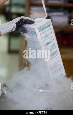 Technician removing specimens from freezer Stock Photo