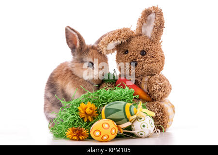 Colorful rabbit with Easter eggs on white background Stock Photo