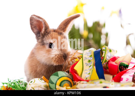 Colorful rabbit with Easter eggs on white background Stock Photo