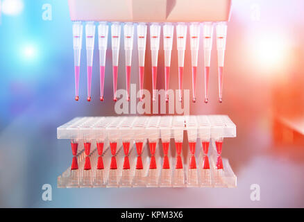 Scientific background. Multichannel pipette tips filled in with reaction mixture to amplify DNA in plastic wells. This image is toned. Stock Photo