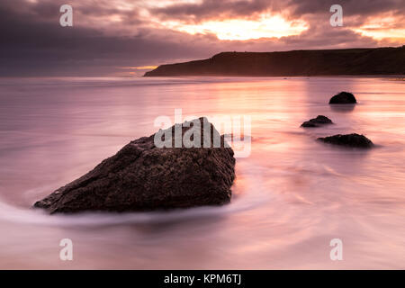 seaweed covered rock on the beach at sunrise Stock Photo