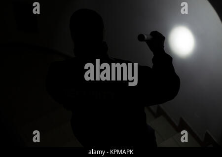Security man, checks in the dark with flashlight Stock Photo