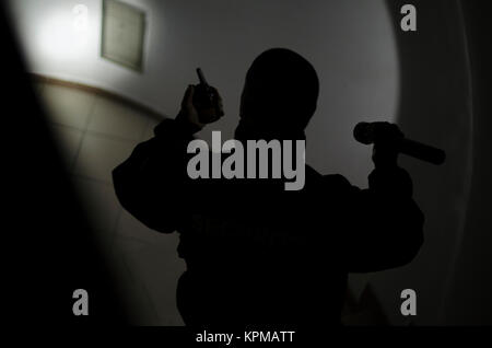 Security man, checks in the dark with flashlight Stock Photo