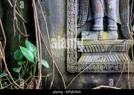 tropical figure in forrest Stock Photo