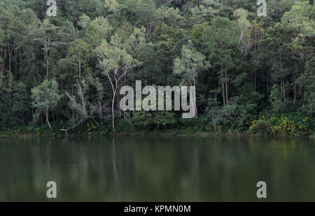 Beautiful view of pine tree reflection in a lake at Pang Oung national park in Mae Hong Son, Thailand Stock Photo