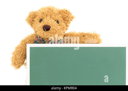 Teddy bear with empty green board Stock Photo