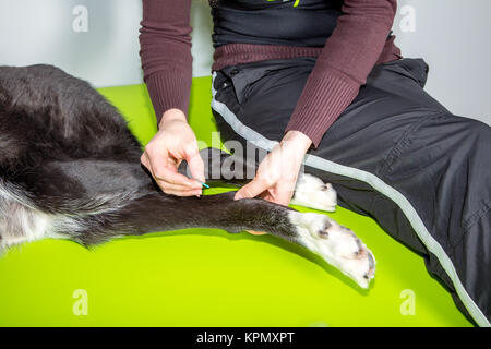 alternative treatment Stock Photo