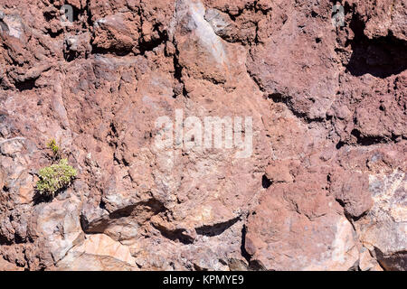 dry basaltic lava rock Stock Photo