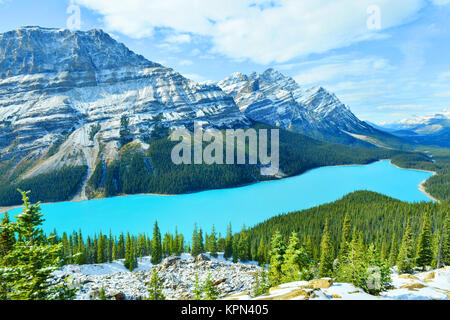 View from Bow Summit of Peyto lake in Banff National Park, Alberta, Canada. Stock Photo