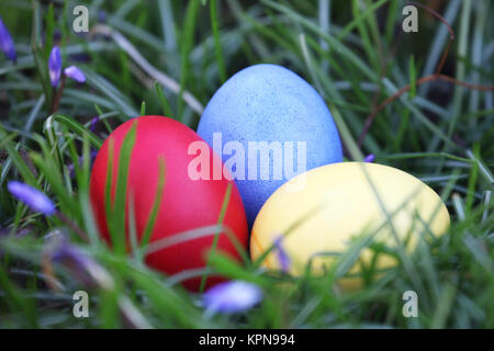 brightly colored eggs for easter in the grass Stock Photo