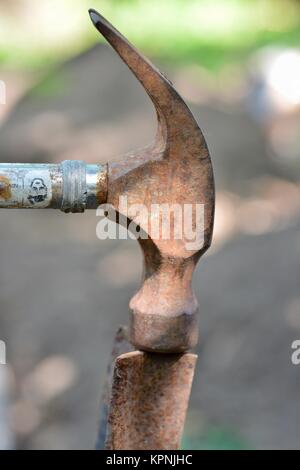 Step by step series on laying irrigation pipe for a home garden, using 19 mm polypipe,  Townsville, Queensland, Australia Stock Photo