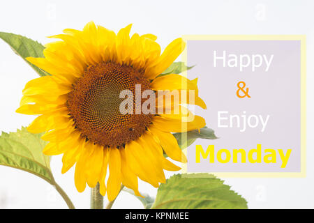 Happy and enjoy Monday inspirational quote Stock Photo