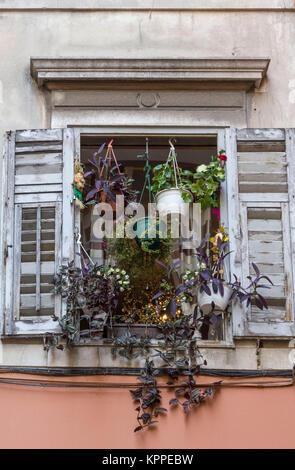 SPLIT, CROATIA - AUGUST 11 2017: old window decorated with hang flowers in Split, Croatia Stock Photo