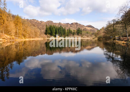 Yew Tree Tarn a small lake surrounded by trees in the English Lake District Stock Photo