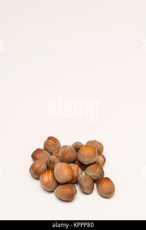 hazelnuts on a white background Stock Photo