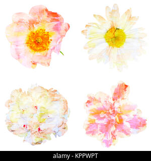 Watercolor painting with abstract flowers rose hips, chamomile, peony, azalea, isolated on white background Stock Photo