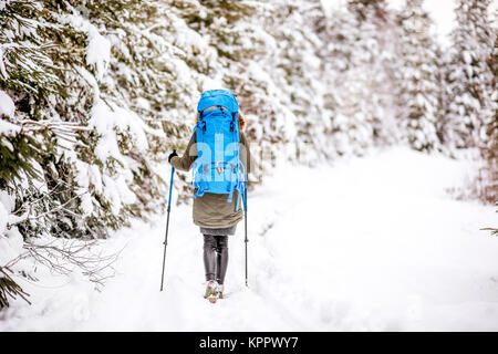 Winter hiking in the forest Stock Photo