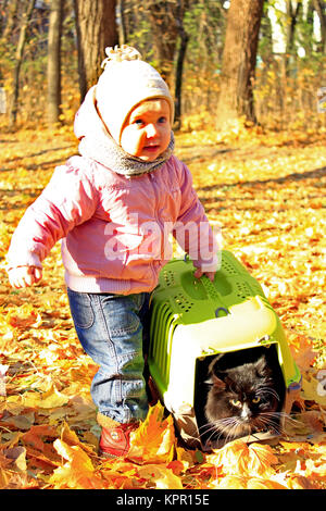 baby plays with her cat in cage in the Autumn park Stock Photo