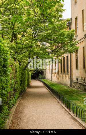 Grove Walk in Oxford linking Merton Street with Dead Mans Walk and Merton Walk.  Corpus Christi College is on the right and Merton College to the left Stock Photo