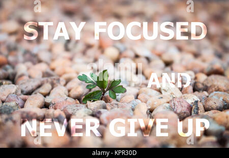 Stay focused and never give up inspirational quote Stock Photo