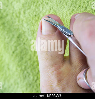 https://l450v.alamy.com/450v/kpr3w3/nails-on-man-feet-cut-with-scissors-on-green-towel-kpr3w3.jpg