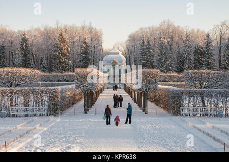 SAINT-PETERSBURG, RUSSIA - JANUARY 19, 2014: Unidentified people walk in the alleys of Catherine Park in a winter sunny day Stock Photo